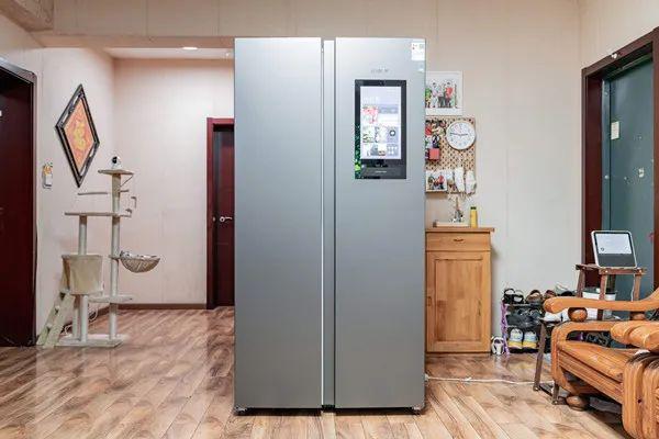 冰箱冷藏柜有蛐蛐的声音是怎么回事呢？该怎么解决呢？
